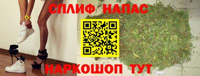 гидра Краснознаменск